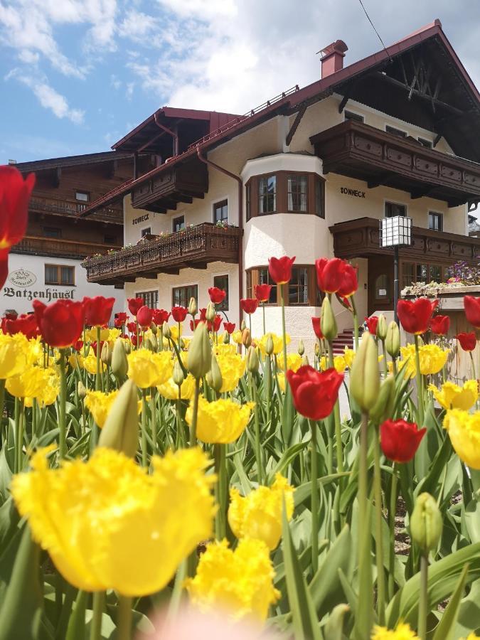 ホテル Chalet Sonneck ゼーフェルト・イン・チロル エクステリア 写真